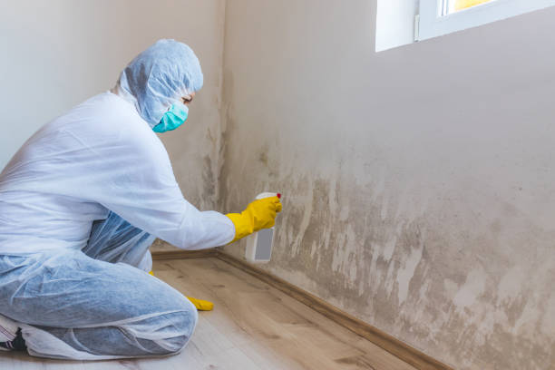 Licensed Commercial Mold Remediation service in Verona, NJ - WQB Mold Removal