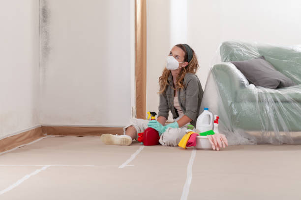 Reliable Commercial Mold Remediation contractor in Verona, NJ by WQB Mold Removal