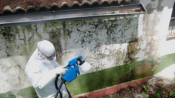 Top rated local Commercial Mold Remediation specialists in Verona, NJ